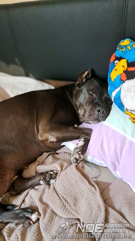 pillow_5.jpg