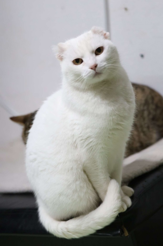 yuki_2.jpg