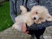 610f363219d94cf8bd12cb0.jpg