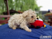 bec0db8711e8438aad02d31.jpg