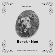 berekfb.jpg