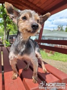 bfeeacbc41414f27839c6e7.jpg