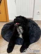 blackadamgazdas_2.jpg
