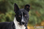 dsc08954_masolatv.jpg
