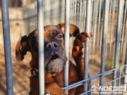 ezy_watermark_04012025_.jpeg