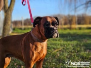 ezy_watermark_04012025__3.jpeg
