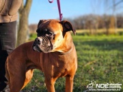 ezy_watermark_04012025__5.jpeg