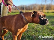 ezy_watermark_04012025__8.jpeg