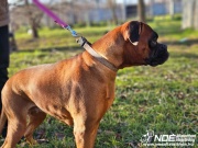 ezy_watermark_04012025__9.jpeg