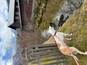 hallstatt_kacsalesben.jpg