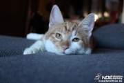 img_2128.jpg