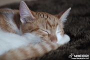img_2150.jpg