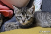 img_2292_2.jpg