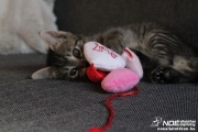img_2473.jpg