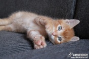 img_2511.jpg
