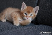 img_2512.jpg