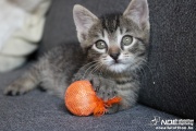 img_2532.jpg