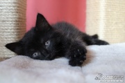 img_2542.jpg