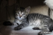 img_2554_2.jpg