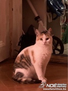 Karamella