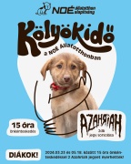 KLYKID PROGRAM