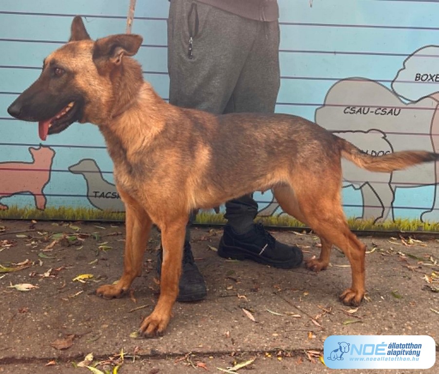 3ddd5f8965044187a8369e2_2.jpg