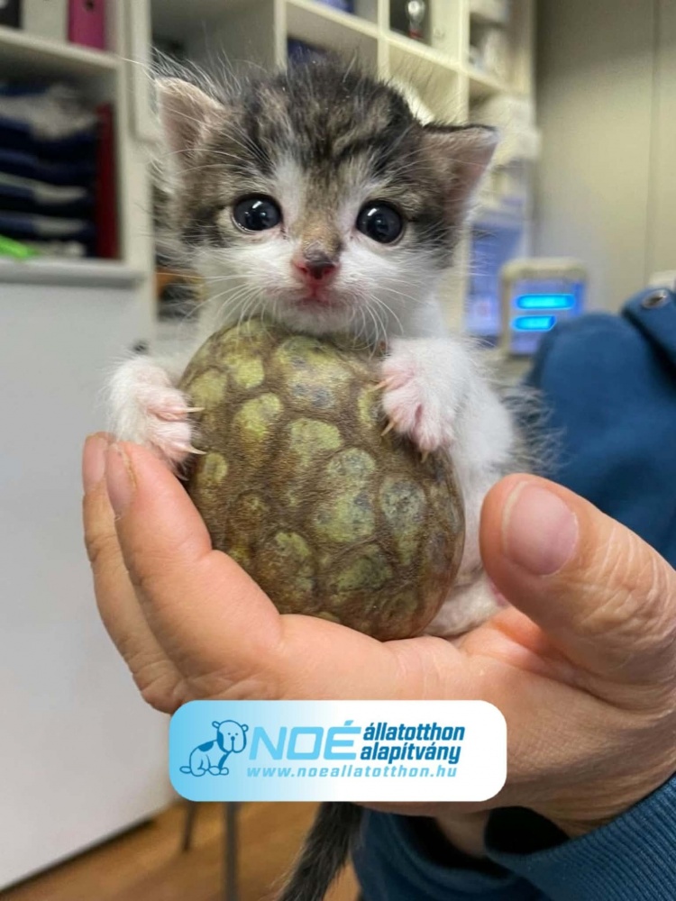 cfb9c15c.jpg