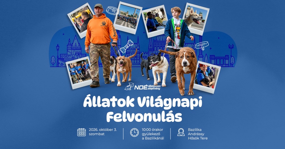 97d7742fdef549b1befcd46.jpg