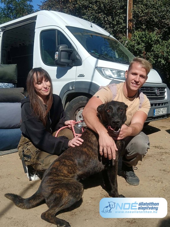 bran.jpg