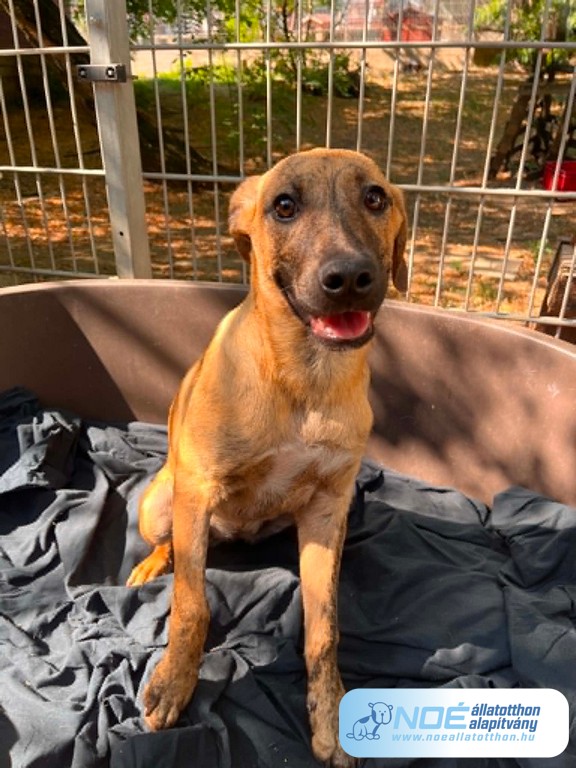 kend_12.jpg