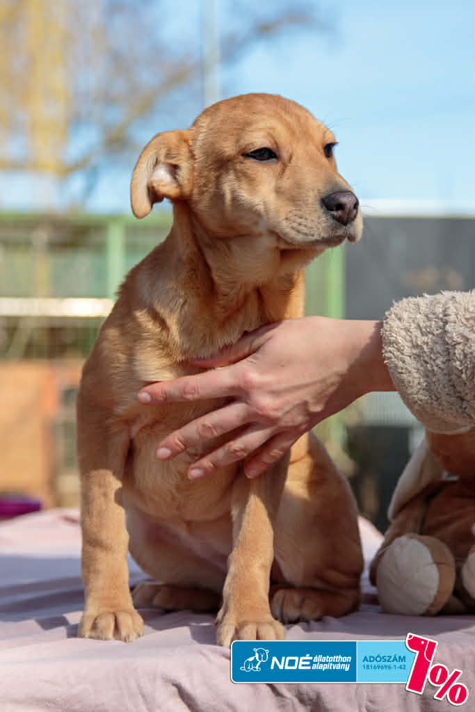 salg_cilinder_2.jfif