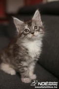 06.15._5.jpg