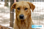 2f2a4616.jpg