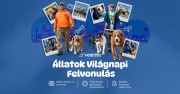 97d7742fdef549b1befcd46.jpg