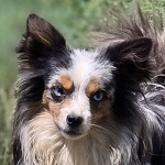 2026-ban gazdira tal�ltak! 