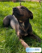 holdfny_sugrka_7.jpg