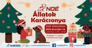 karacsony2025.jpg