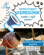munkalehetsg.jfif