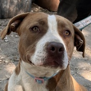 murugyaprofil_2.jfif