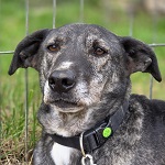 Wellness csald Vackor (8/SZ/2021)