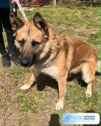 viko_2.jpg