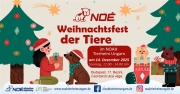 weihnachtsfest.jpg