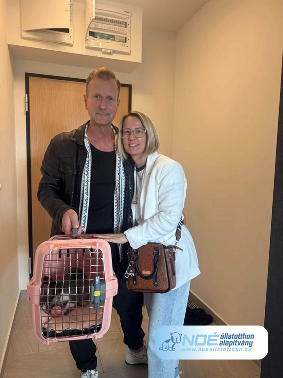 nala_2.jpg
