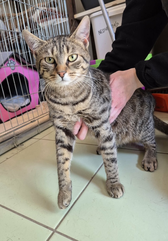 rimi5.jpeg