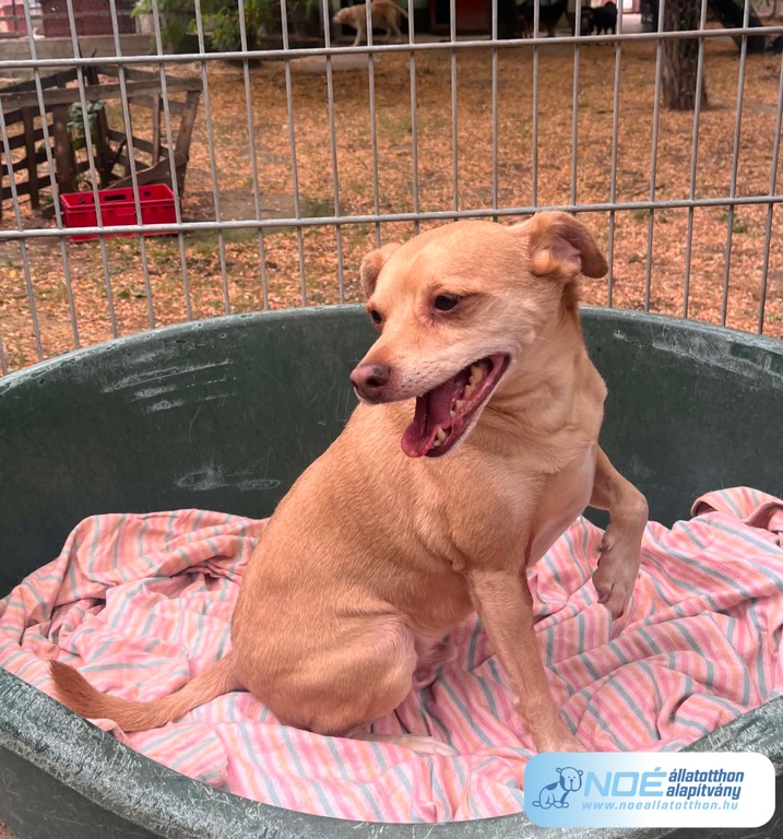 valter_9.jpg
