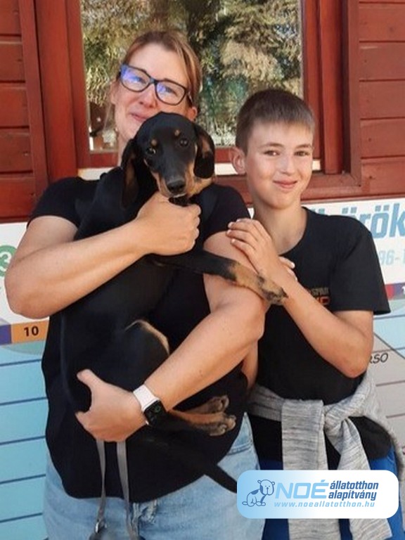 virgonc_virsli.jpg