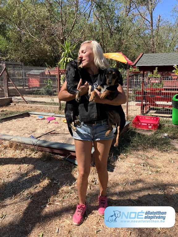 whatsapp_image_20260908_12.jpg