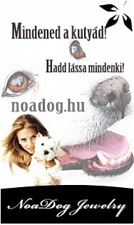 NoaDog