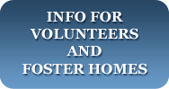 Információ önkénteseknek